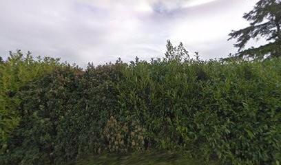 Sud Vendee Proprete, Service de Nettoyage à Longèves