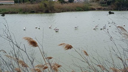 Mouna Serenity, Service de Ménage à Vic-la-Gardiole