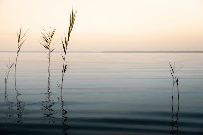 LA CLEF DES LACS CONCIERGERIE, Service de Nettoyage à Biscarrosse