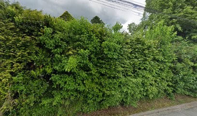 Fenestre Patrick, Service de Nettoyage à Cély