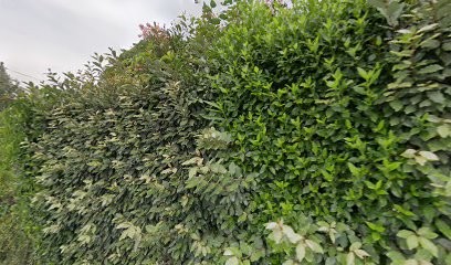 So'Clean, Service de Nettoyage à Vallon-Pont-d'Arc