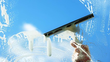 LAVI'CLEAN, Service de Nettoyage à Bois