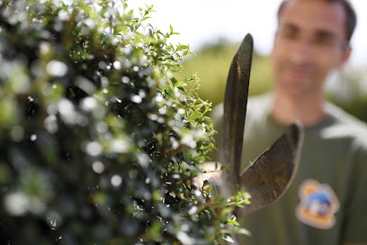 Maison Et Services Montlaur | Jardinage, Nettoyage De Vitres, Grand Nettoyage, Service de Nettoyage à Montlaur