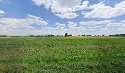 PRO Nettoyage, Service de Nettoyage à Cambernard