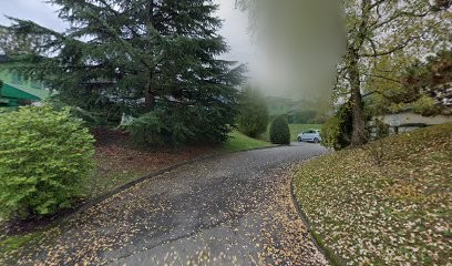 Thonon Nettoyage, Service de Nettoyage à Publier