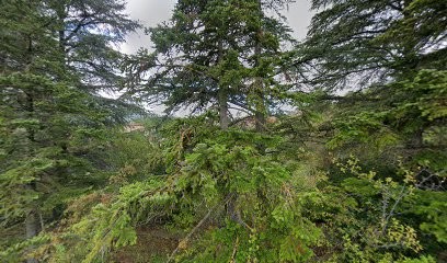 Mister Clean, Service de Nettoyage à Millau