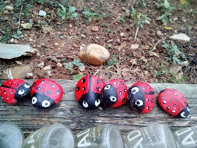 Cantarel Laurent, Service de Nettoyage à Saint-Aunès