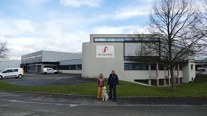 Springinsfeld SARL, Service de Nettoyage à Hésingue