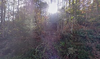 Vide Fait - Bien Fait - Débarras maison, Service de Nettoyage à La Gacilly