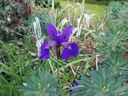 Marina BOUGUENNEC, Service de Nettoyage à Bannalec