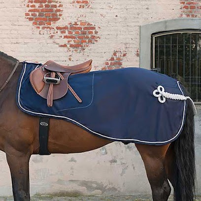 Laverie equine, Service de Nettoyage à Febvin-Palfart