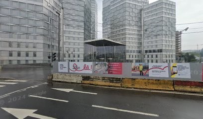 Proxy Pro Services, Service de Nettoyage à Boulogne-Billancourt