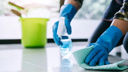 AZM NETTOYAGE, Service de Nettoyage à Tignieu-Jameyzieu