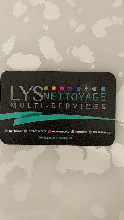 Lys nettoyage, Service de Nettoyage à Viry Chatillon
