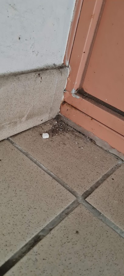 Multi Service Proprete, Service de Nettoyage à Bourg-en-Bresse