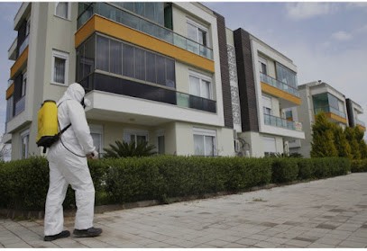 Eghygiene.com, Service de Nettoyage à Stains