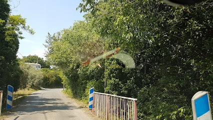 COGEN - Brunel Nettoyage Professionnel, Service de Nettoyage à Draguignan