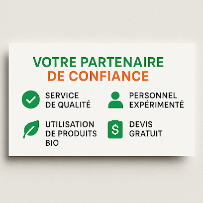 Dnns 51, Service De Nettoyage à Reims
