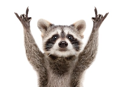 OPS - LA ROCHE SUR YON | Nettoyage - Bureaux, vitrerie ..., Service de Nettoyage à La Roche-sur-Yon