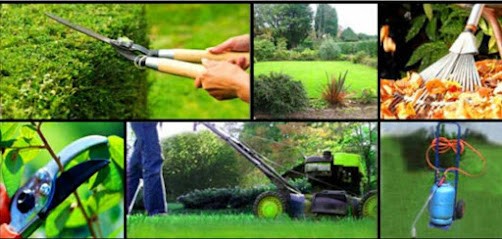 Ams-nettoyage-31, Service de Nettoyage à Sana