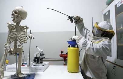 Kapnet, Service de Nettoyage à Stains