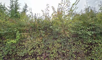 Pro'Net, Service de Nettoyage à Gap