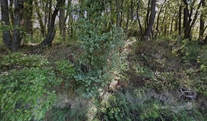 Marc Services Luberon Durance, Service de Nettoyage à Pierrevert