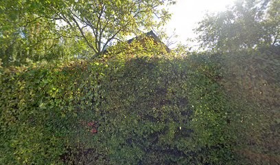 Les Services D Aline, Service de Nettoyage à Pers-Jussy