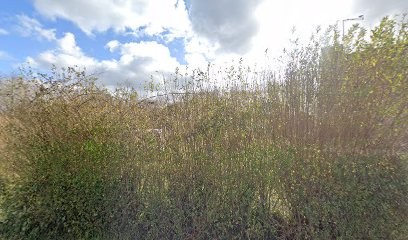 Salaün propreté, Service de Nettoyage à Bégard