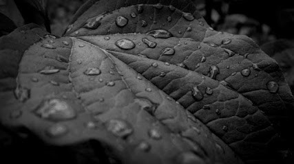 AQUA Nettoyage, Service de Nettoyage à Saint-Égrève