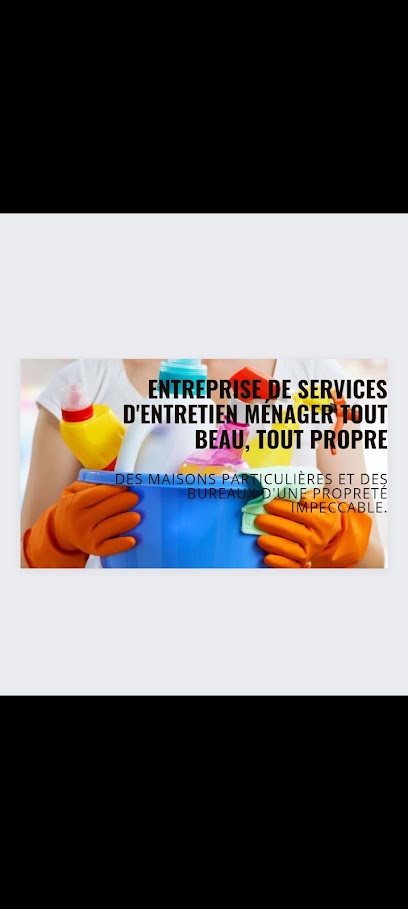 Ren Service, Service De Nettoyage à Villeurbanne