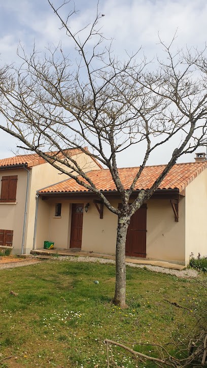 Démoussage Neuvillois, Service de Nettoyage à Neuville-de-Poitou