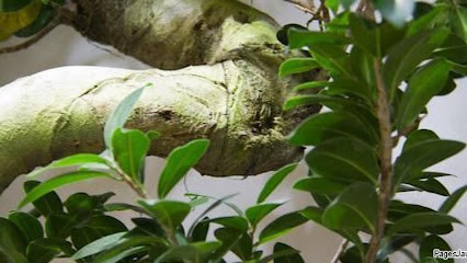 Aide et Domicile A et D, Service de Nettoyage à Lampertheim