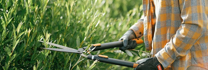 Les Mains Vertes, Service de Nettoyage à Albi