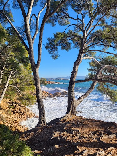 Bruno Mathieu Conciergerie, Service de Nettoyage à Bandol