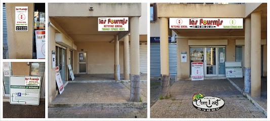 LA FOURMI, Service de Nettoyage à Afa