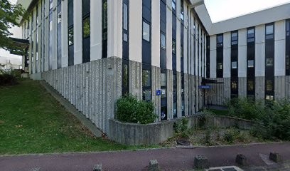 Jlp Services, Service de Nettoyage à Rungis