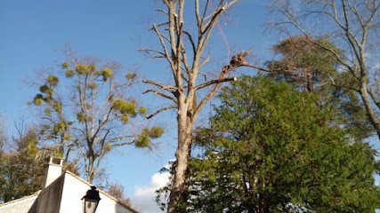 Veiss Paul, Service de Nettoyage à Pithiviers