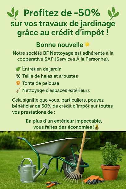 Bf Nettoyage, Service De Nettoyage à Jaillon
