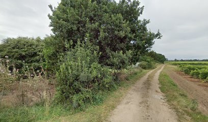 Poitou Sébastien, Service de Nettoyage à Saint-Pierre-d'Oléron