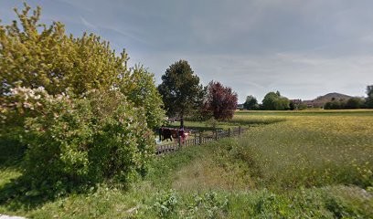 SD62 MULTISERVICES, Service de Nettoyage à Haillicourt