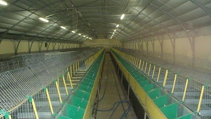 Lavage Agri Ouest, Service de Nettoyage à Chemillé-en-Anjou