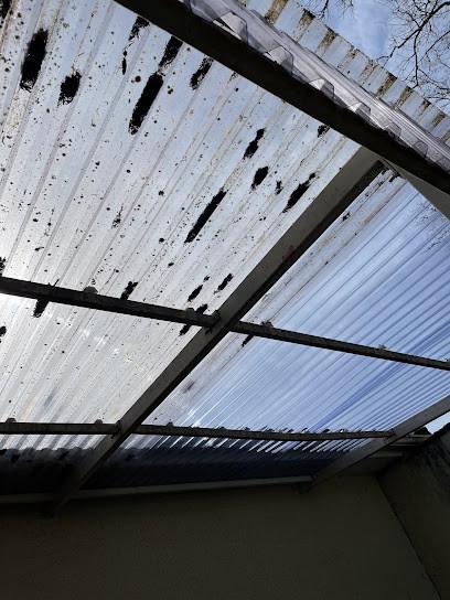 nettoyage toiture angouleme, Service de Nettoyage à Soyaux