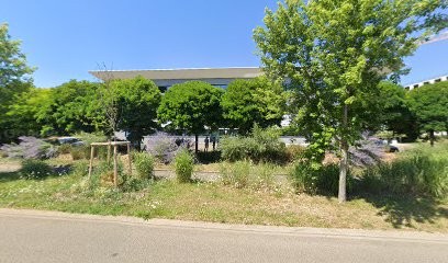 La Régie Des Écrivains, Service de Nettoyage à Schiltigheim