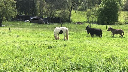 multi-services vallée verte, Service de Nettoyage à Habère-Poche