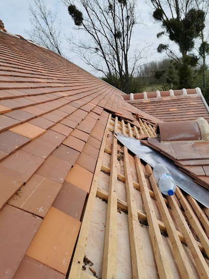 JC nettoyage toiture, Service de Nettoyage à Dordives