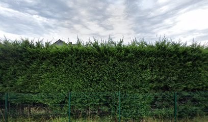 Da Costa Fernandes Dionisio, Service de Nettoyage à Fontaine-lès-Luxeuil