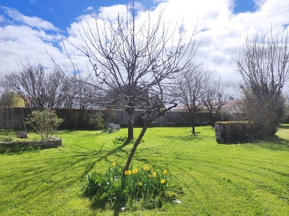Les Services D'océane, Service de Nettoyage à La Rochelle