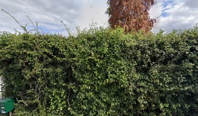 Pavot Manuel, Service de Nettoyage à Vendegies-au-Bois