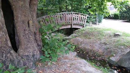 EPFD, Service de Nettoyage à Saulx-les-Chartreux